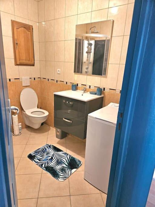 Spacieux Et Charmant Appartement De 47 M2 Charleville-Mezieres Exterior photo